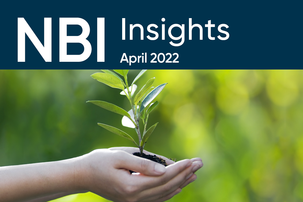 Text NBI Insights – April 2022 with the image of a pair of hands holding a plant.
