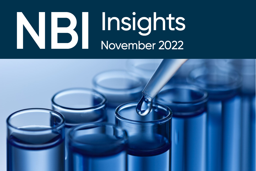 NBI Insights Bulletin – November 2022