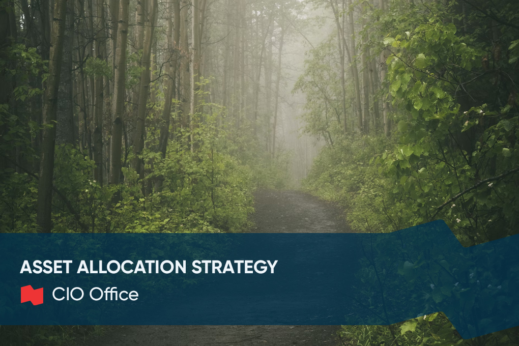pastille-cio-office-june2025-en Image of a foggy forest