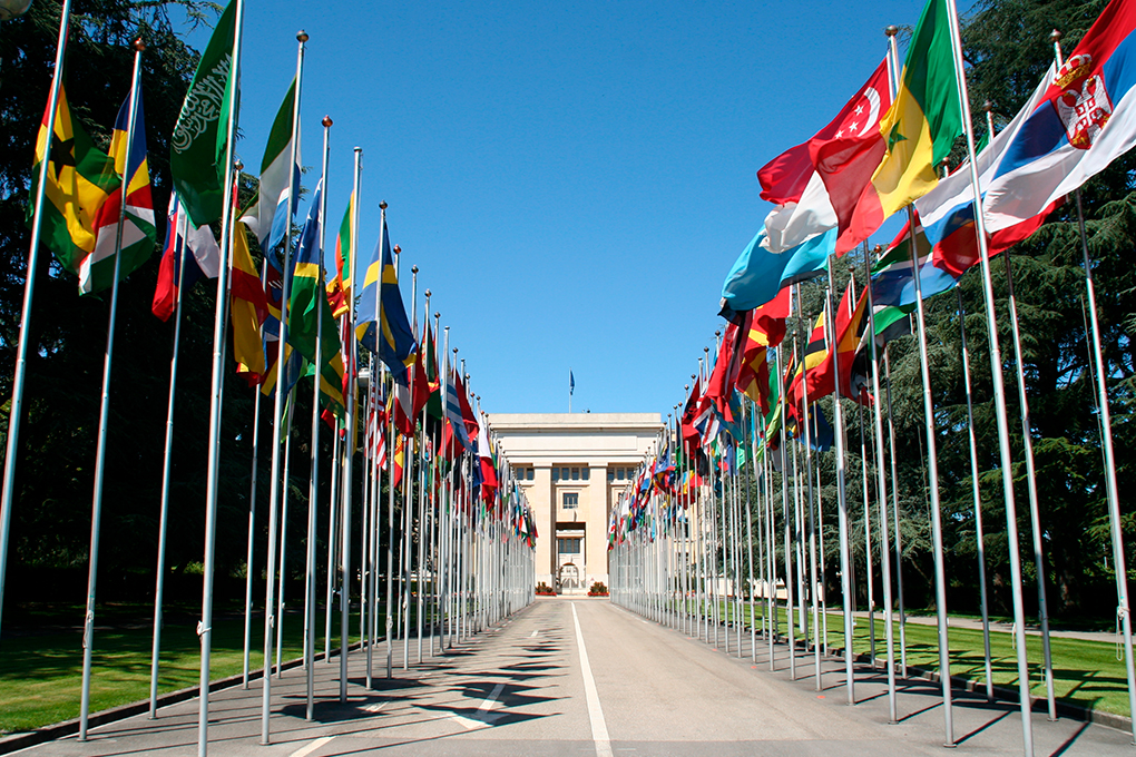 A row of UN flags